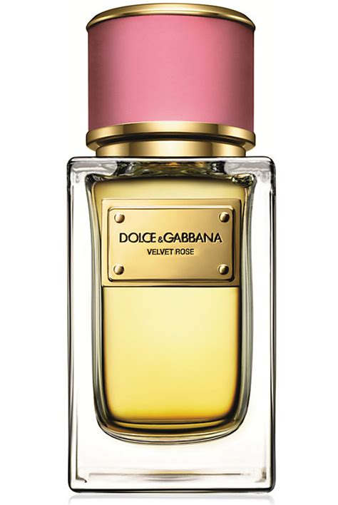 dolce gabbana perfumes review|best dolce and gabbana perfume for women.